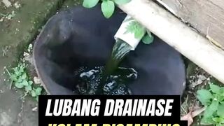 Lubang DRAINASE kolam DISAMPINGPantesan panen LAMA air gak surut semua