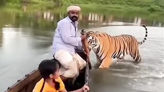 A tiger attack a fisherman and his daughter in a village lake.