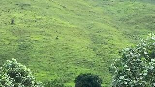 Best View in Samosir North Sumatra Indonesia