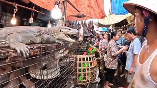 Curious Crowd Gathers Around a Giant Crocodile at the Animal Market