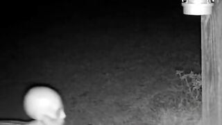 Scary ghost