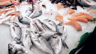 Frozen fish