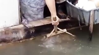 Fishing into house