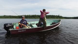 Someone is lifting fish into the boat