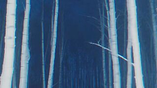 Scary!! Abandoned roller coaster