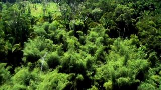 POWERFUL ACTION MOVIE  Full Film  A scientific mission turns into a fight against giant wasps