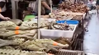 Fresh Crocodiles Spotted at a Global Animal Market!