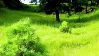 Beautiful nature