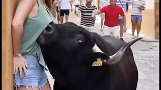 Confusion at the bullfighting festival with women and men running away.