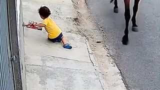 youtubeshorts amazingfootage.