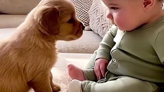 Cute Baby Cant Stop Laughing After Baby Sneeze