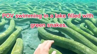 POV Swimming In a Lake Filled With Green Snakes
