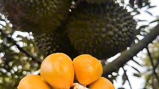 Do Americans Love This Fruit?