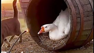 Animals Being Funny for Absolutely No Reason