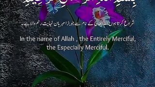 Tilawat e Quran Paak