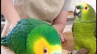 She Cuts the Bird Cake and the Real Bird Starts Talking!