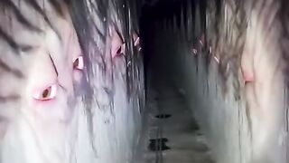 What is this place?