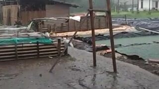 Budidaya lele di musim HUJANPerhatikan 4 hal ini