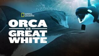 Orca  White (2021)