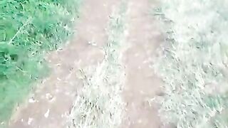 Udara yang sejuk di pagi hari