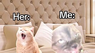 My wife moods be like