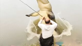 Surprised that a big crocodile appeared