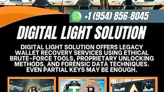 Hire the best Bitcoin  Crypto Recovery specialists  Digital Light Solution