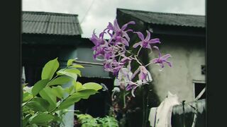 Cinematik