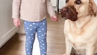 Adorable Kid Gets Angry at Dog for Eating All the Chocolate!