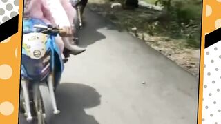 Sakinnah mawwadah waa racing