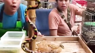 Extreme Animal Market Chaos Trader Shocked as Giant Lizard Almost Bites