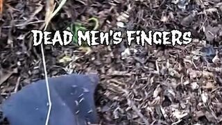 Dead Mens Fingers Fruit