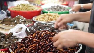 Exploring a Traditional Asian Wet Market Unique Foods!