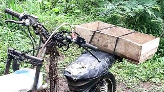 Secrets of the Forest