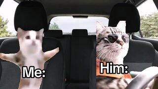 Driving around with my boyfriend