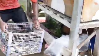 Cara mudah NGETES oknum TENGKULAKJUJUR atau TIDAK