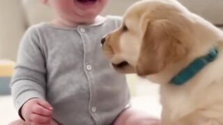 Baby Laughs Hysterically While Playing with Cute Puppy!