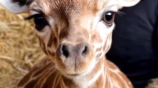 These Animal Facts Will Blow Your Mind