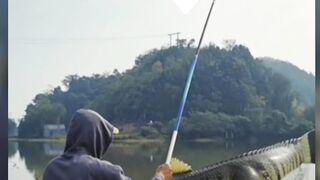 finned crocodile