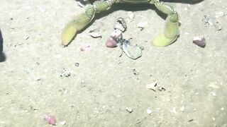 Diving part 4