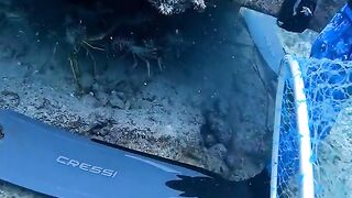 Special diving