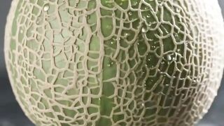 Buah Ini Harganya Seharga Mobil  Melonj Yubari King, Buah Sultan dari Jepang!