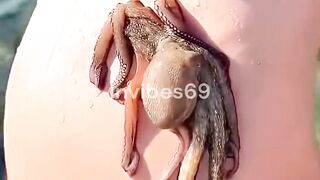 This woman saved an octopus