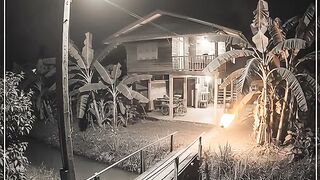Fireball