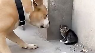 Google On Sports 2025