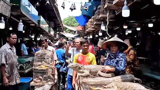 animal market in thailand bangkok