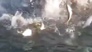 close call