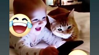 Funny Moments Between Cats and Babies