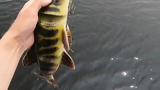 Fishing, Peace, and Good Vibes Only