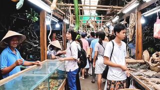 Wow!! is amazing market